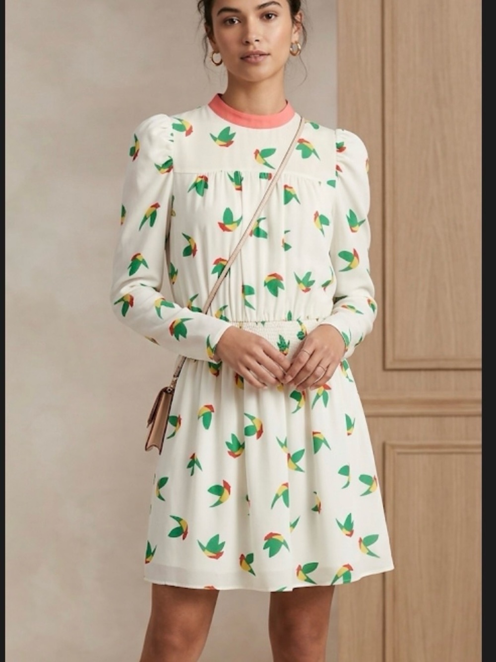 Tanti Anelli Hummingbird Print Chiffon Blouson Smocked Waist Dress S Ivory